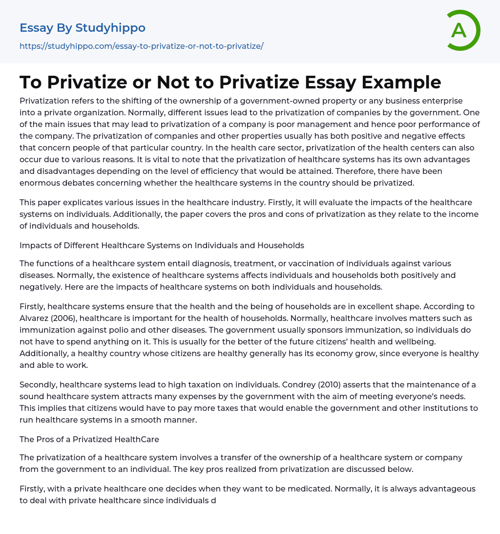 To Privatize or Not to Privatize Essay Example
