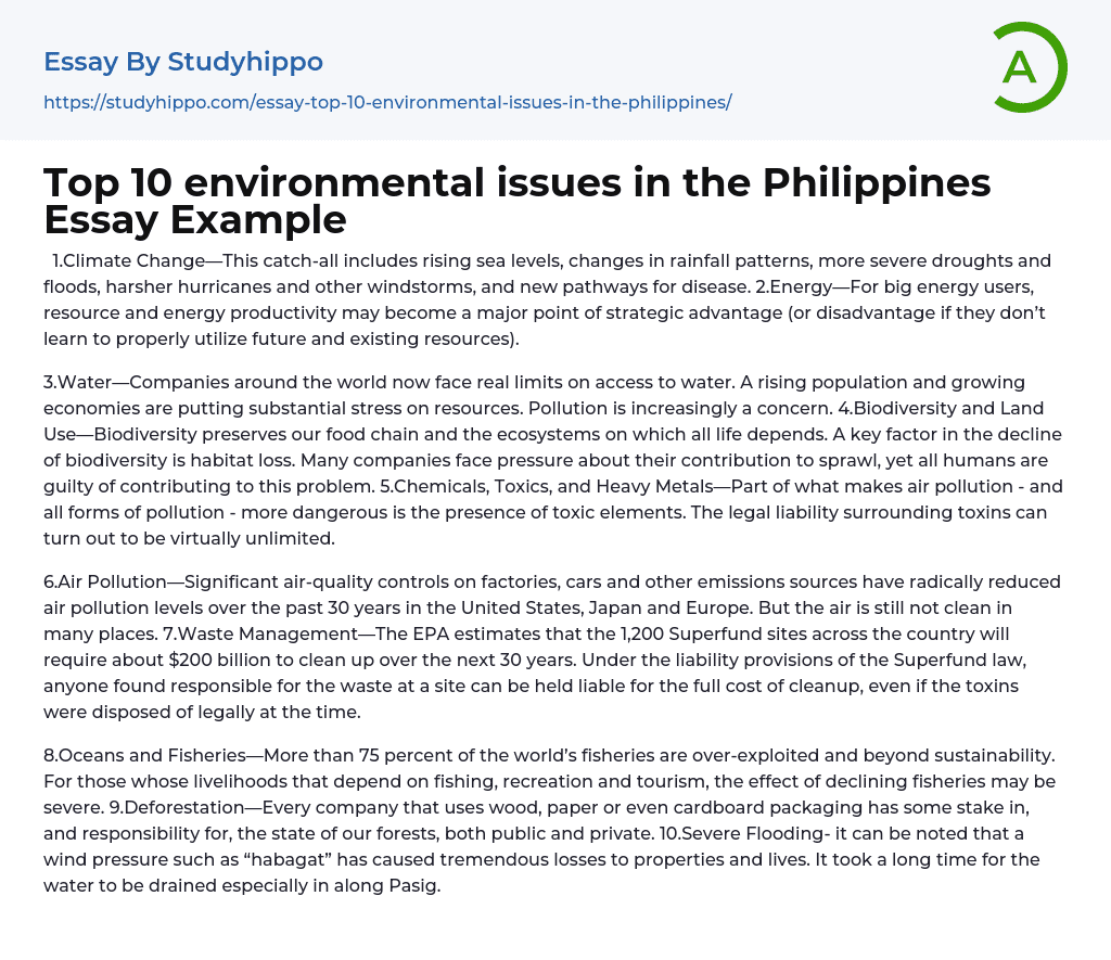 Top 10 environmental issues in the Philippines Essay Example