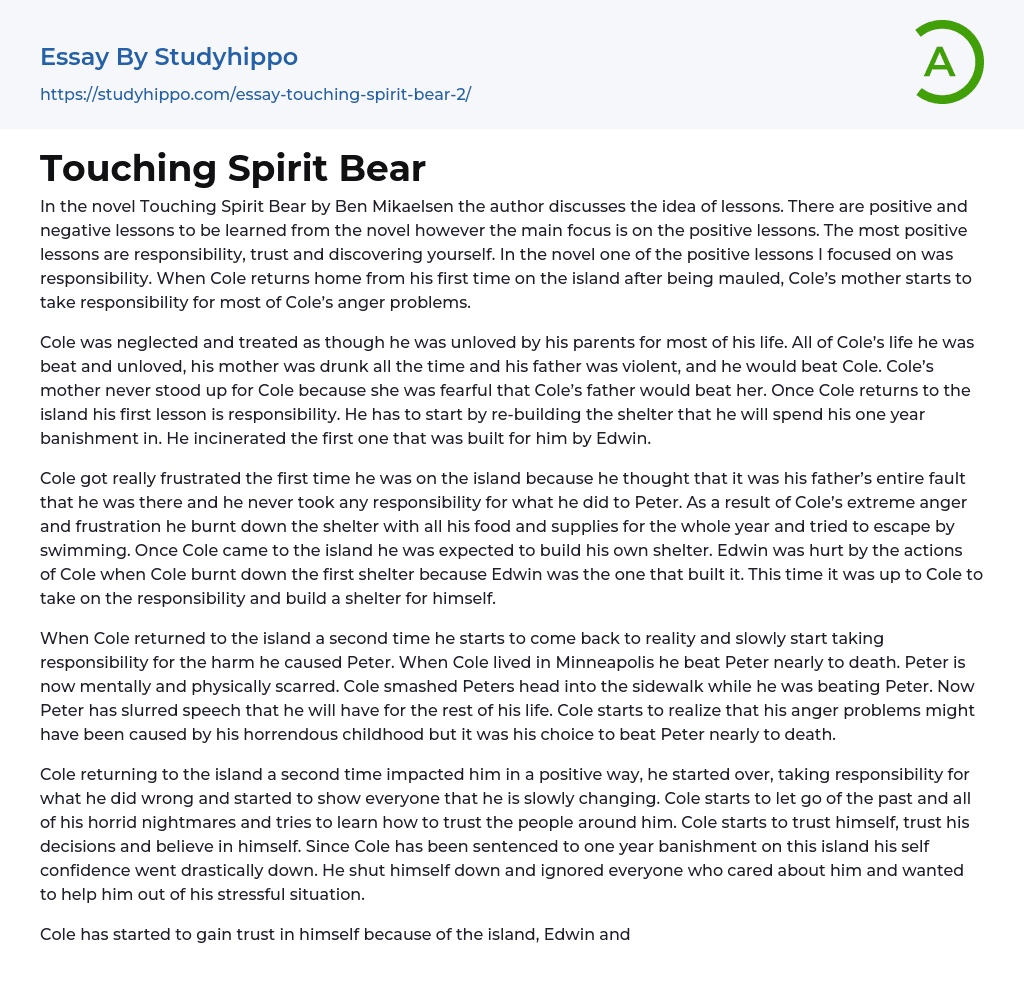 Touching Spirit Bear Essay Example