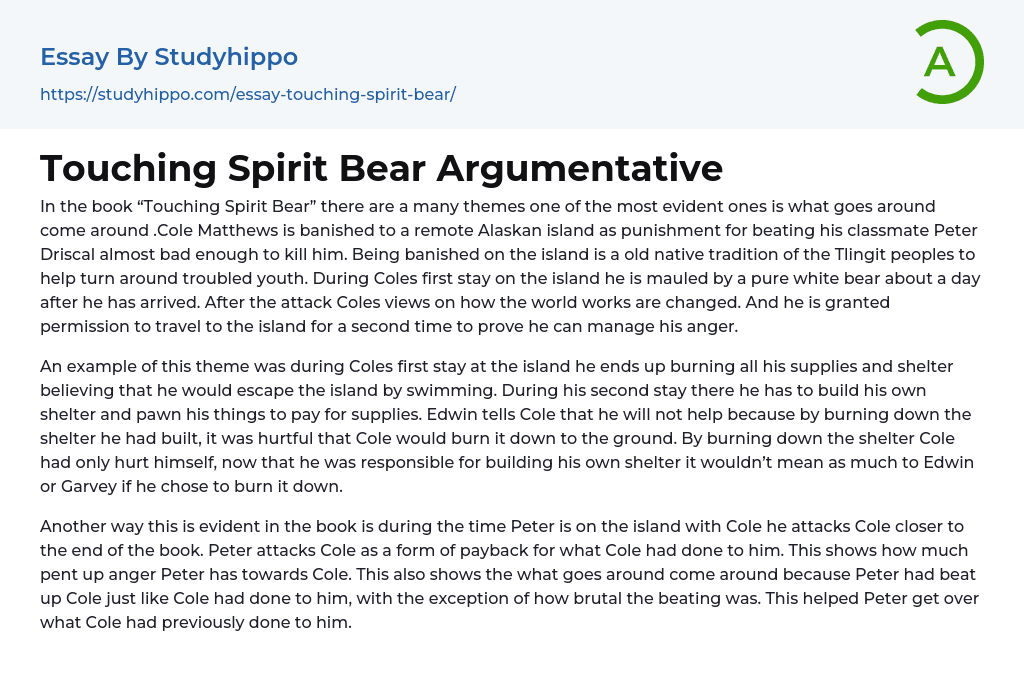 Touching Spirit Bear Argumentative Essay Example