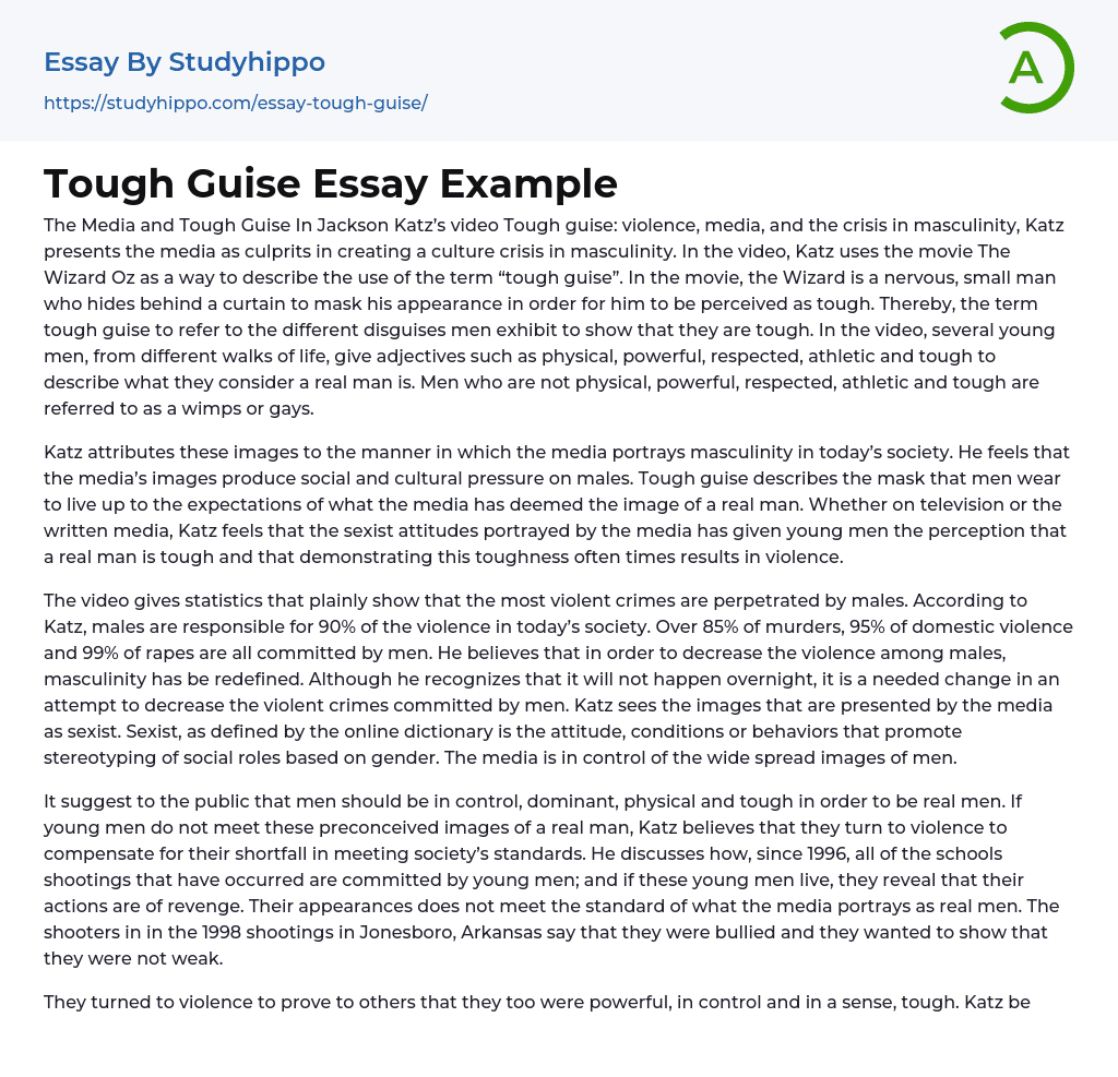 Tough Guise Essay Example