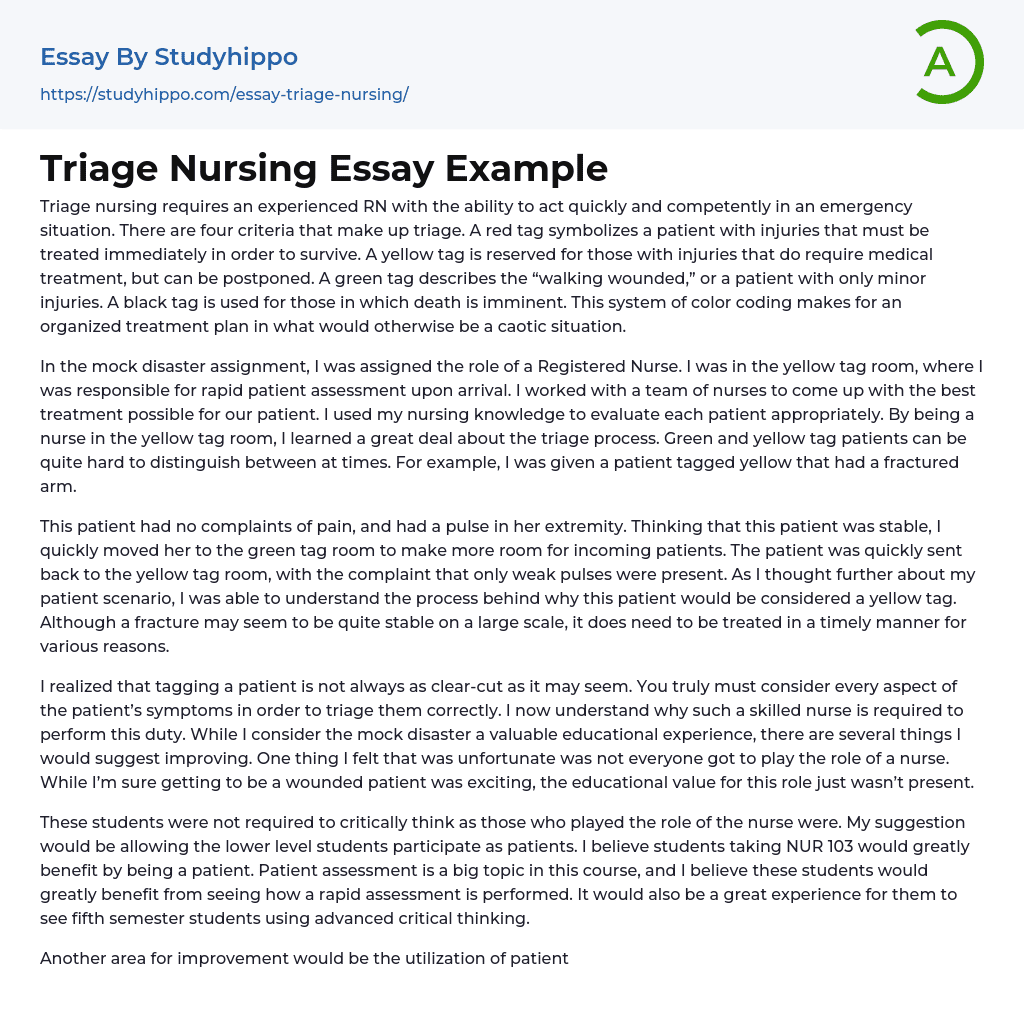 Triage Nursing Essay Example
