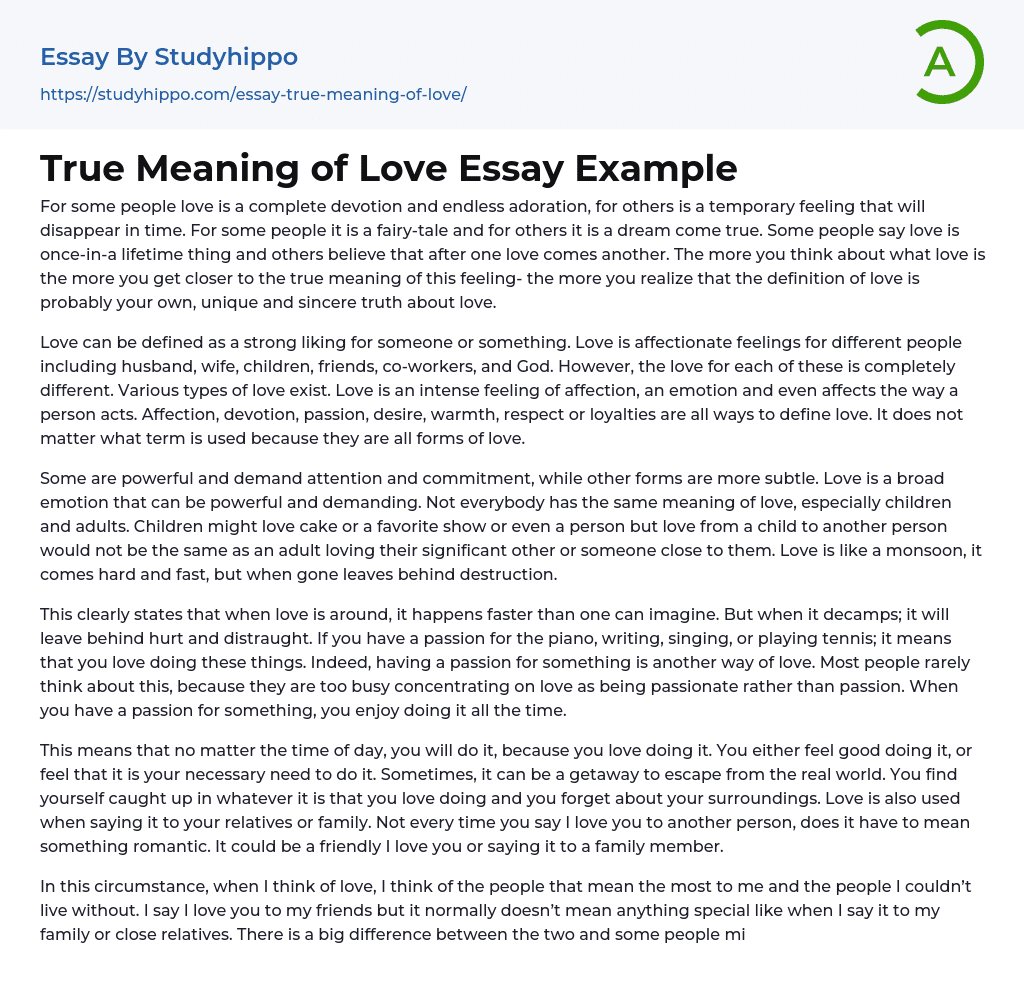 True Meaning of Love Essay Example