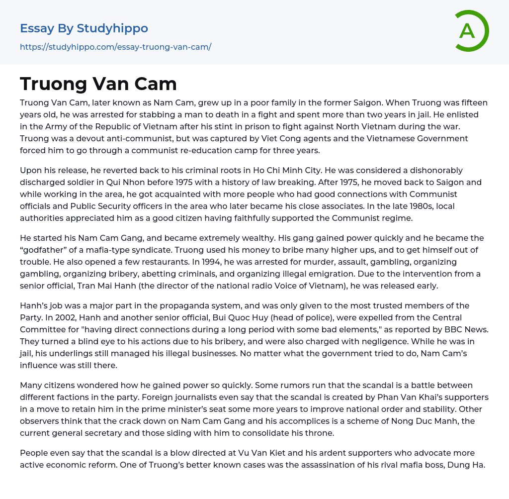 Truong Van Cam Essay Example