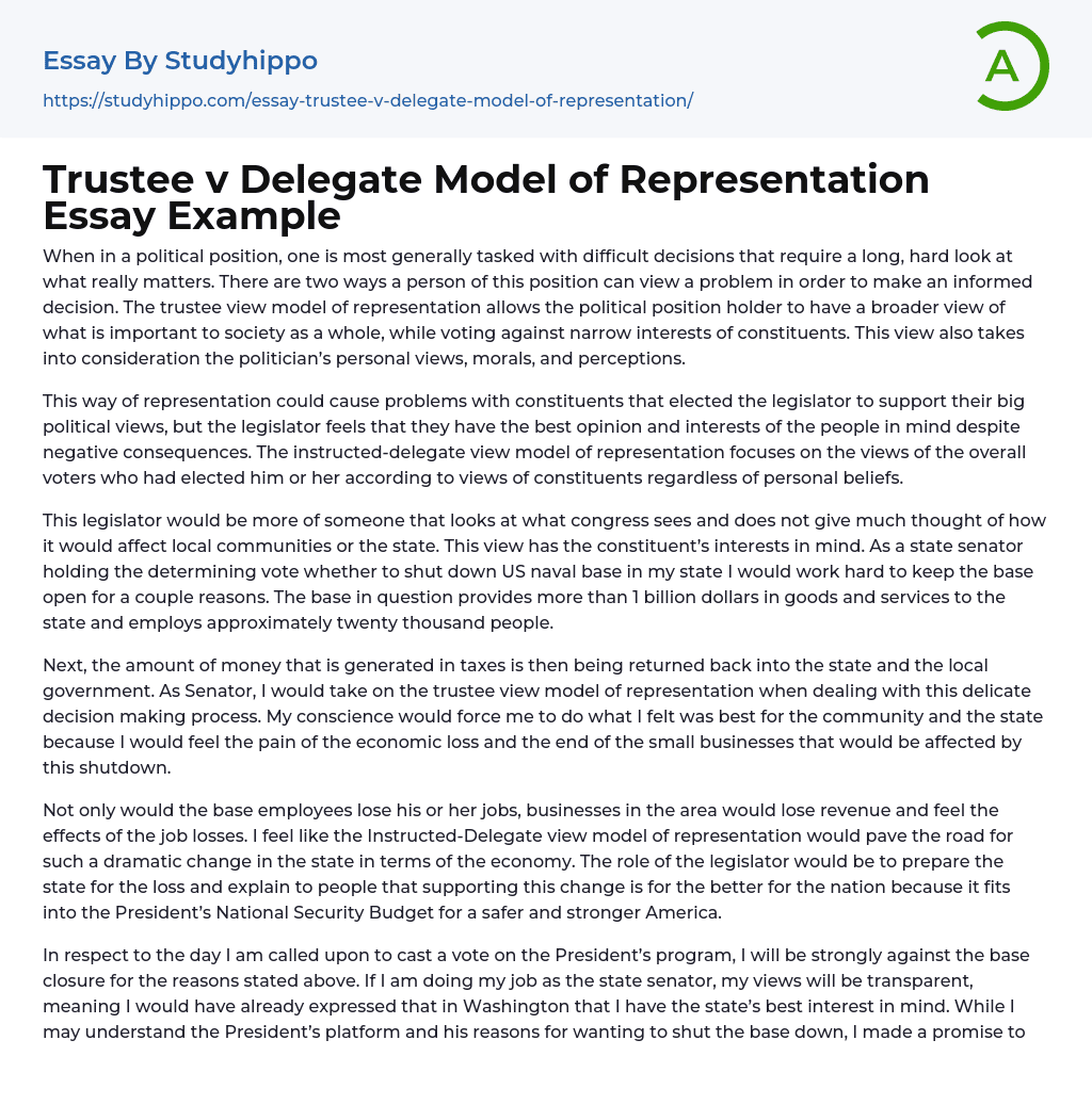 Trustee v Delegate Model of Representation Essay Example
