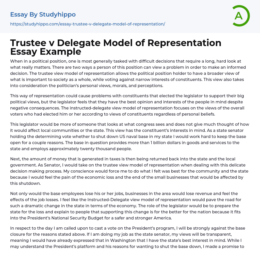 Trustee V Delegate Model Of Representation Essay Example StudyHippo