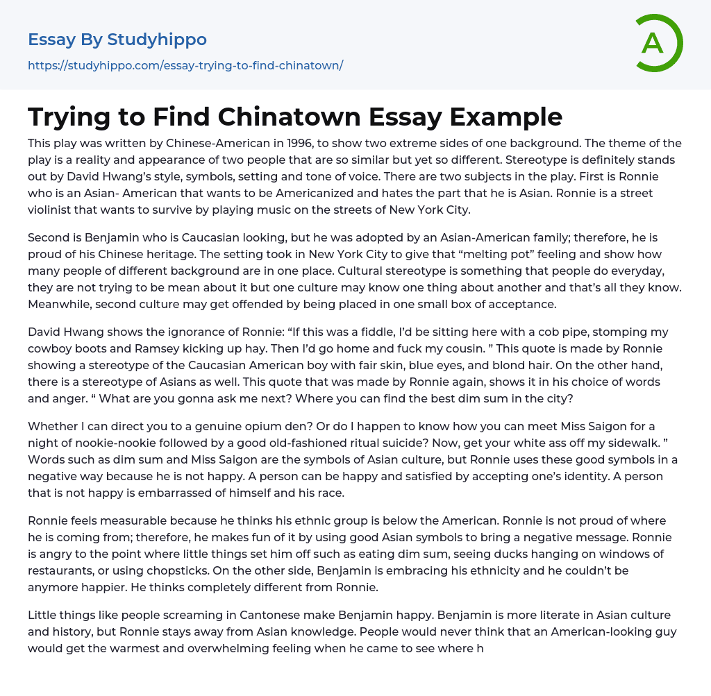 Trying to Find Chinatown Essay Example