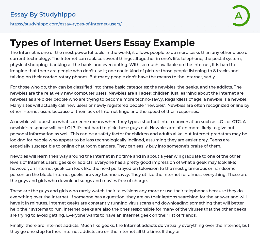 essay for internet users