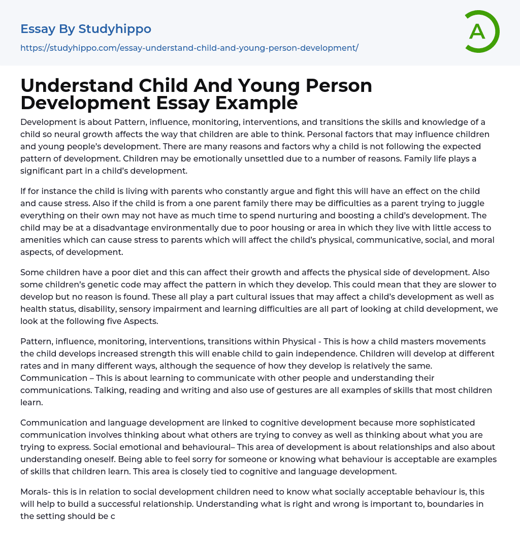 Understand Child And Young Person Development Essay Example