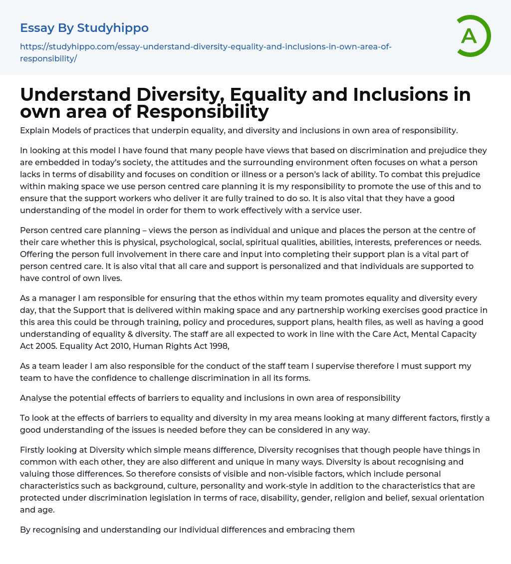 Understand Diversity, Equality and Inclusions in own area of Responsibility Essay Example