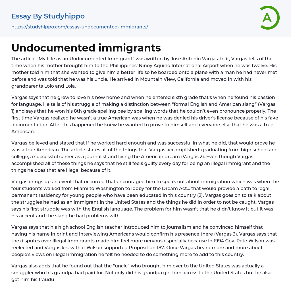 Undocumented immigrants Essay Example