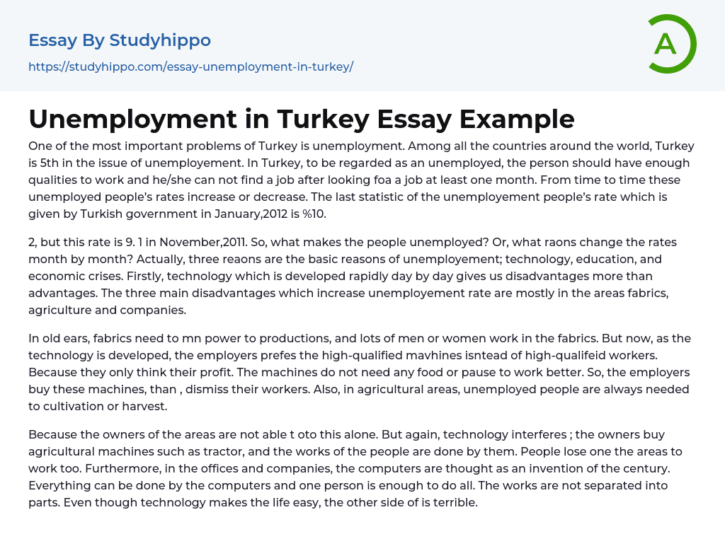 Unemployment in Turkey Essay Example