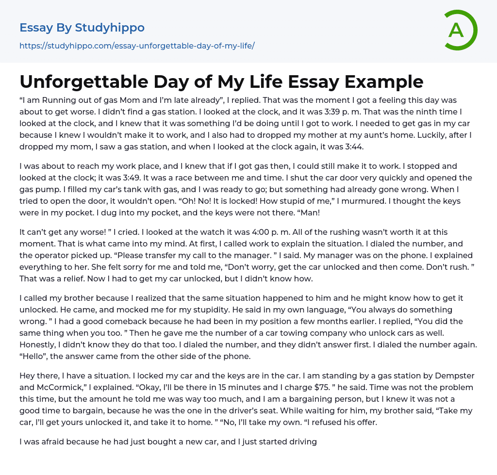 Unforgettable Day Of My Life Essay Example StudyHippo