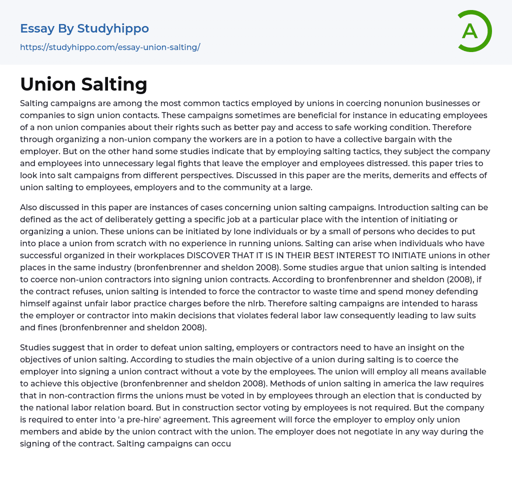 Union Salting Essay Example