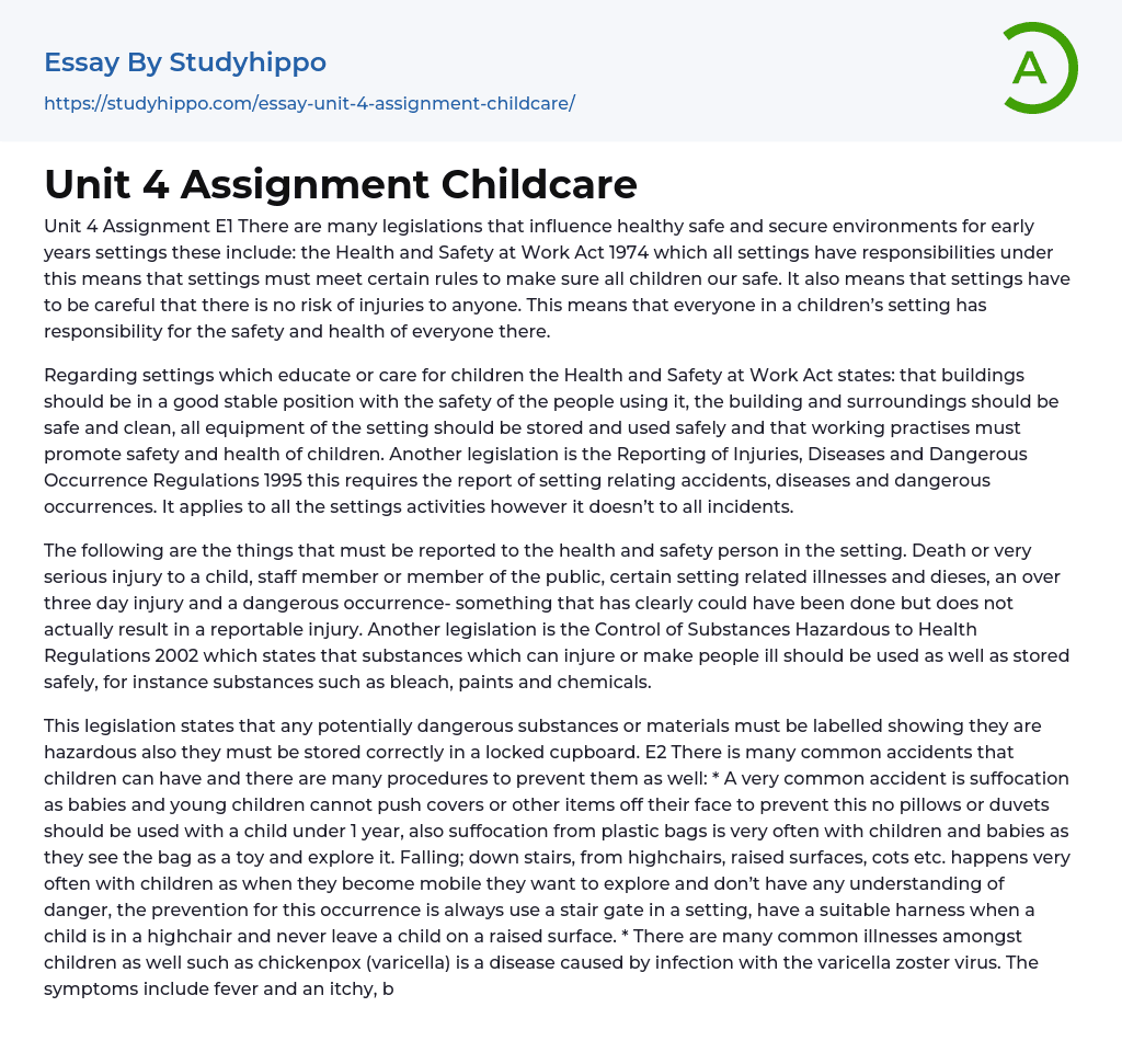 Unit 4 Assignment Childcare Essay Example