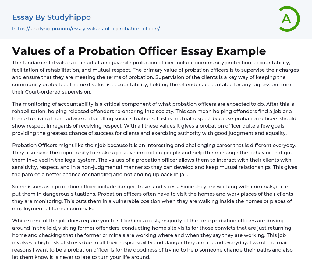Values of a Probation Officer Essay Example