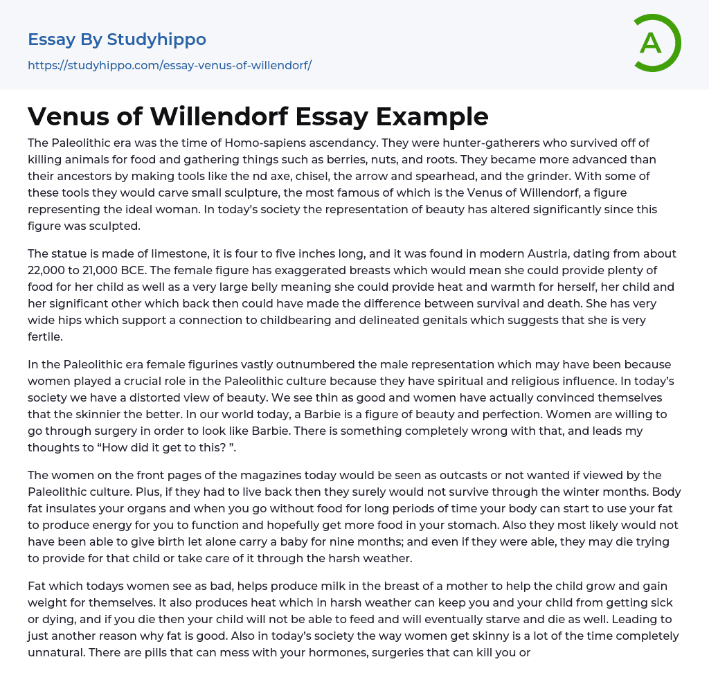 Venus of Willendorf Essay Example