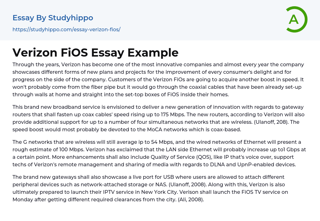 Verizon FiOS Essay Example