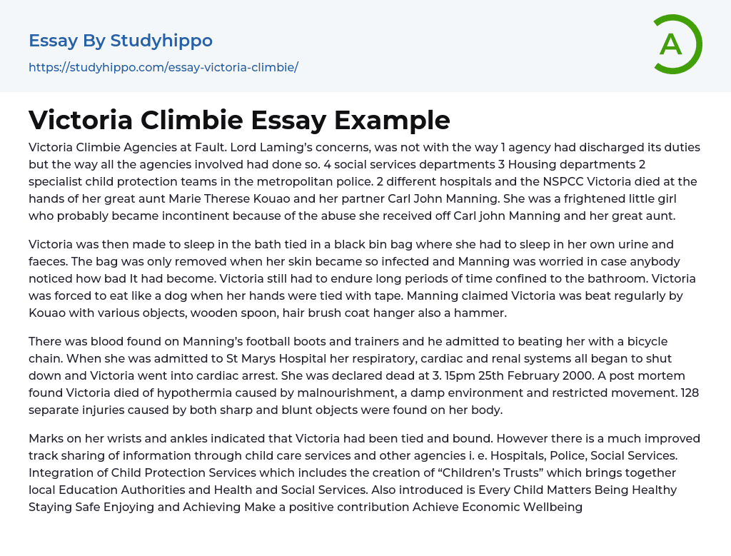 Victoria Climbie Essay Example
