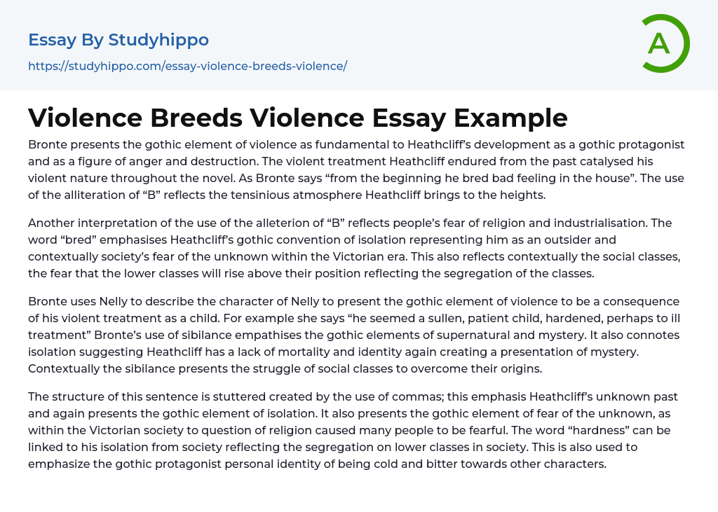 Violence Breeds Violence Essay Example
