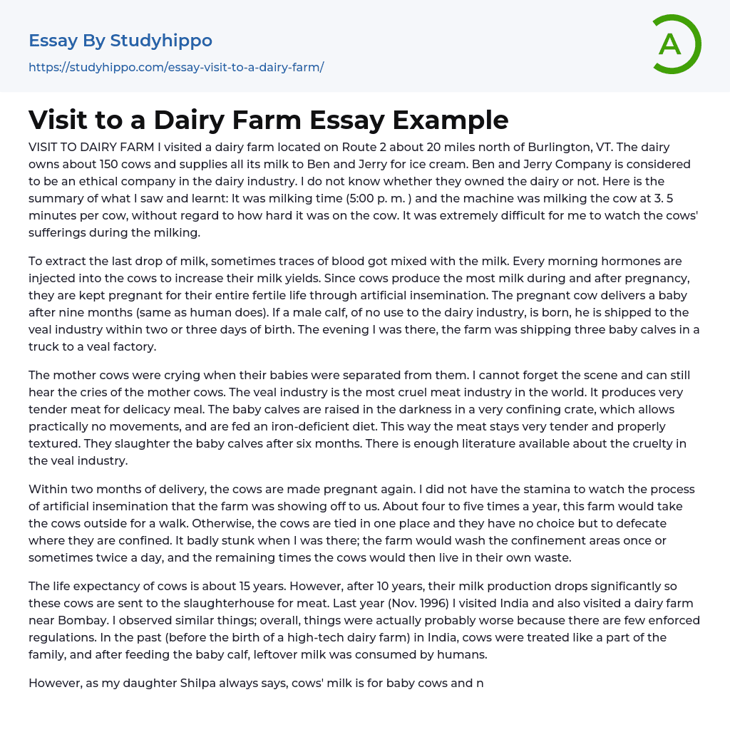 Visit to a Dairy Farm Essay Example