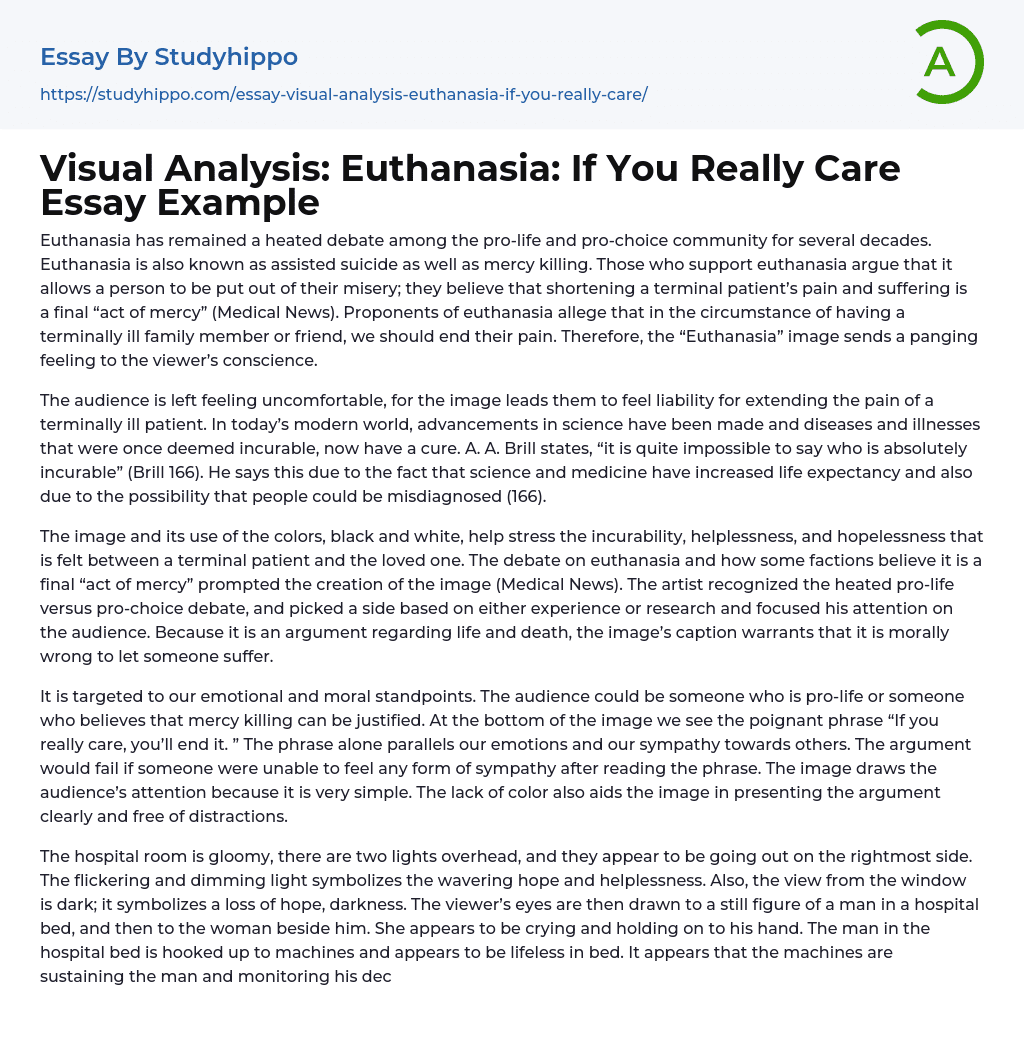 Visual Analysis: Euthanasia: If You Really Care Essay Example