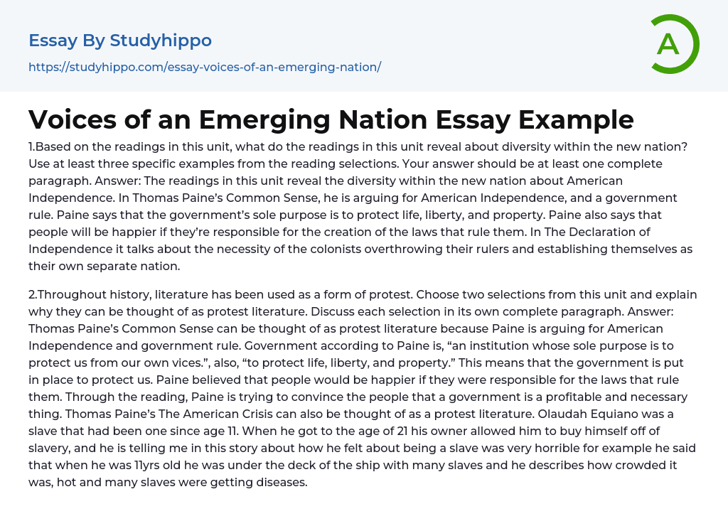 Voices of an Emerging Nation Essay Example