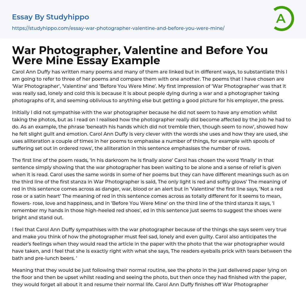 War Photographer, Valentine and Before You Were Mine Essay Example