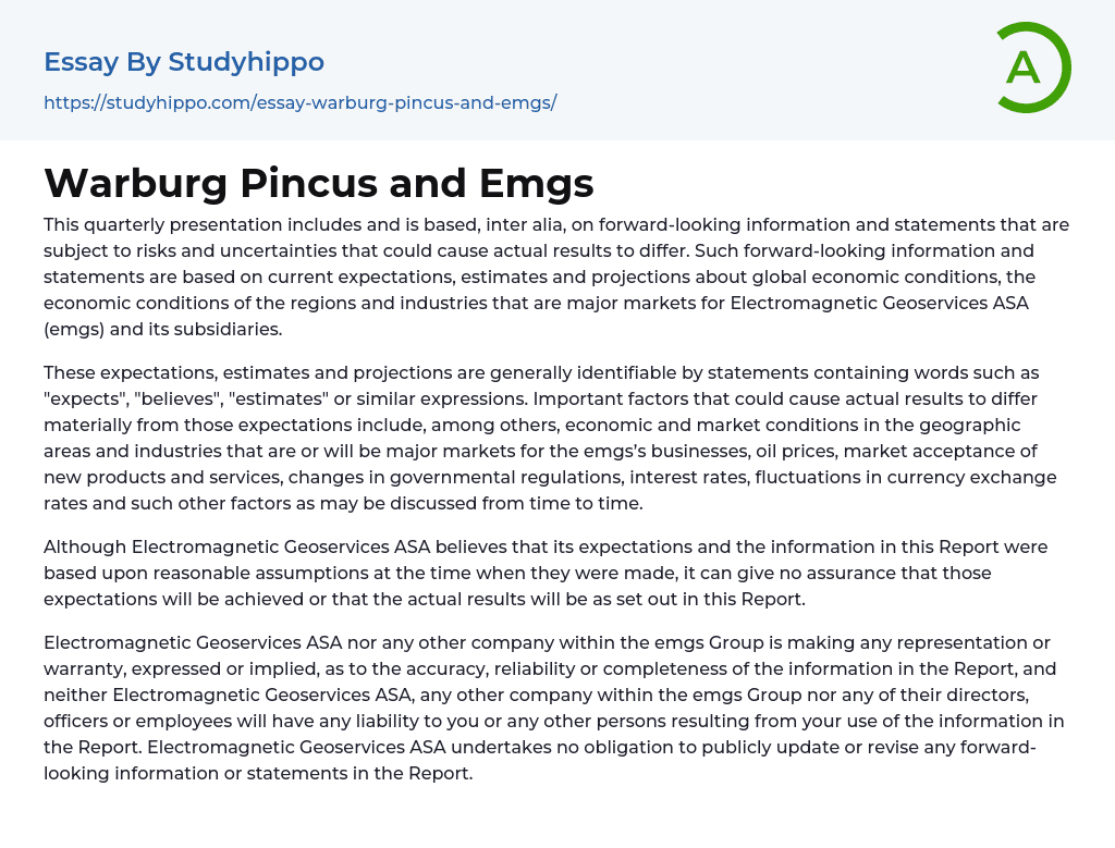 Warburg Pincus and Emgs Essay Example