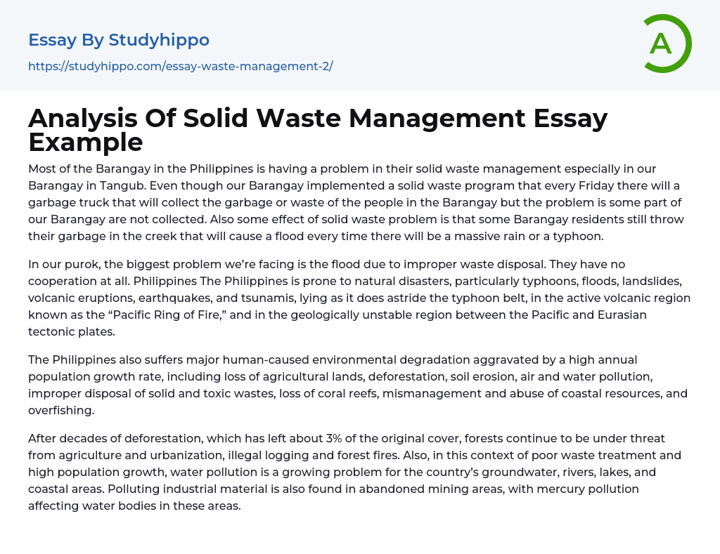 Analysis Of Solid Waste Management Essay Example