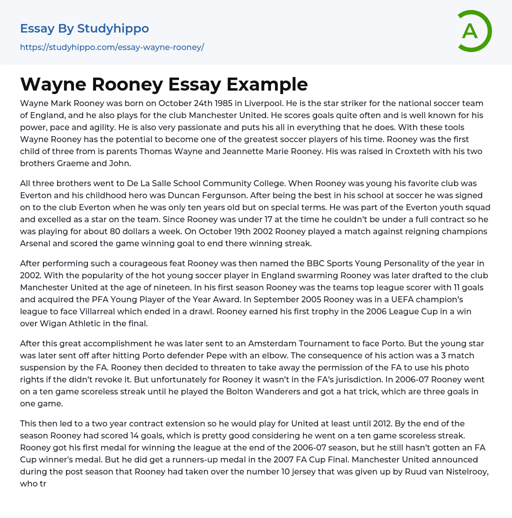 Wayne Rooney Essay Example