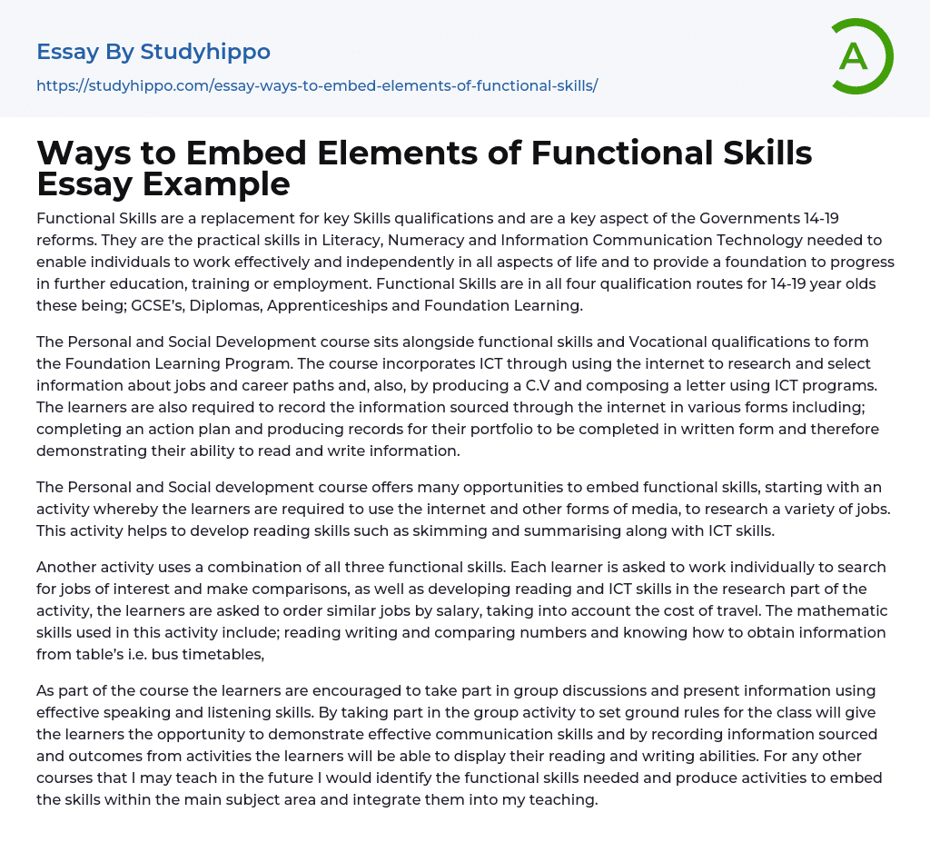 Ways to Embed Elements of Functional Skills Essay Example