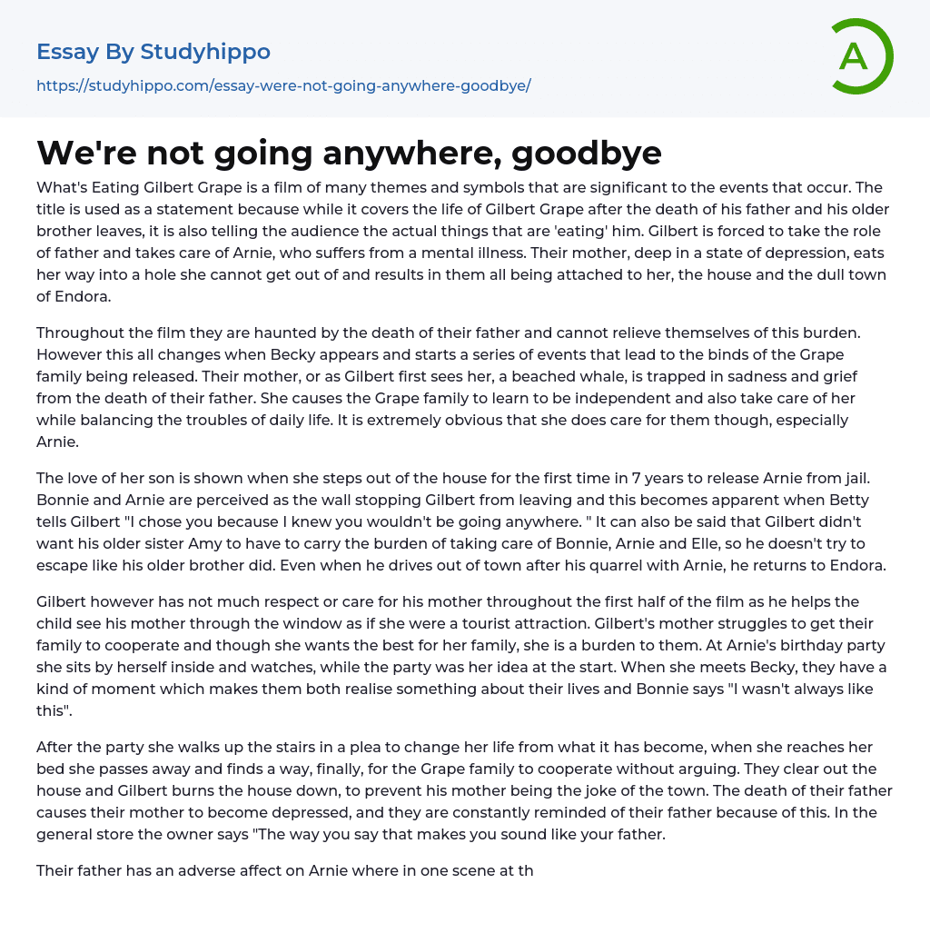We’re not going anywhere, goodbye Essay Example