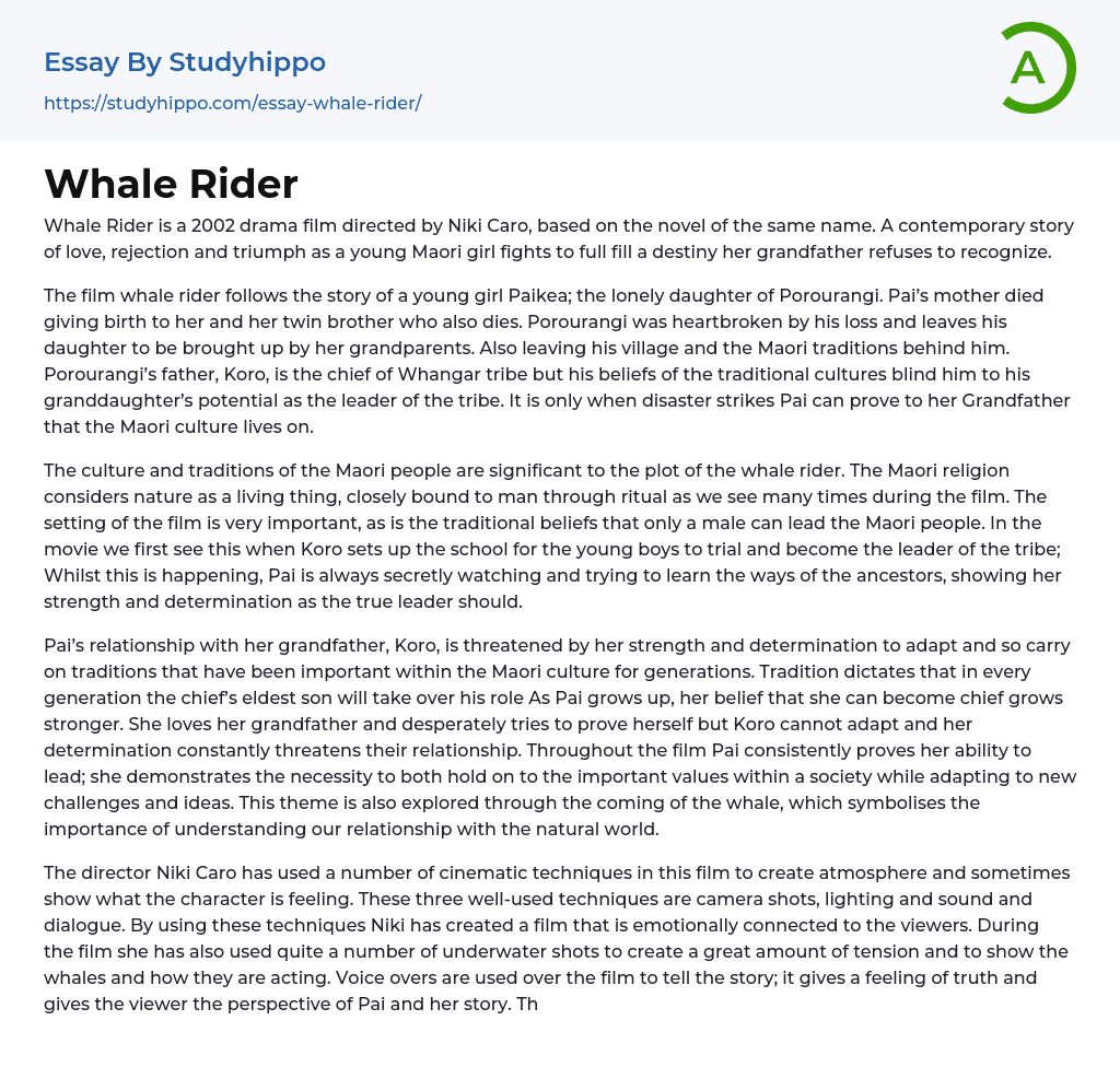 Whale Rider Essay Example