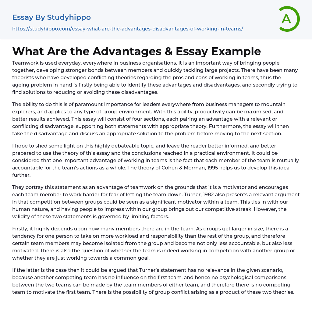 What Are the Advantages &amp Essay Example
