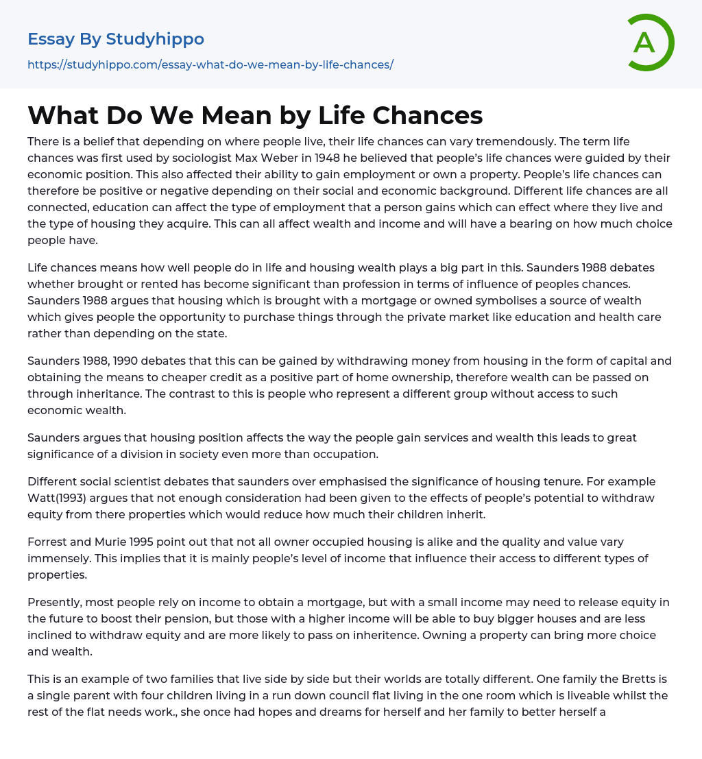 What Do We Mean by Life Chances Essay Example
