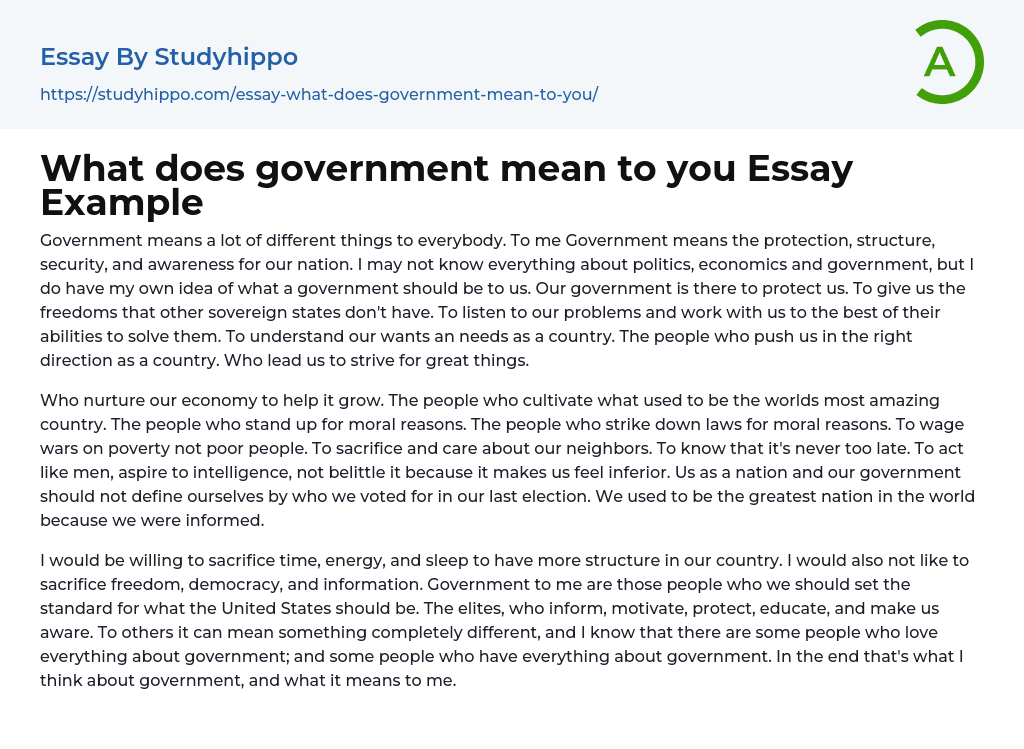 What does government mean to you Essay Example