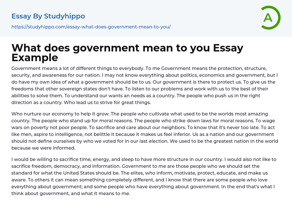 What Does Government Mean To You Essay Example StudyHippo