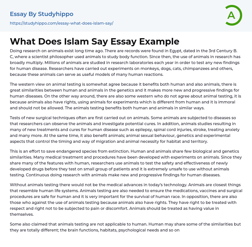 What Does Islam Say Essay Example