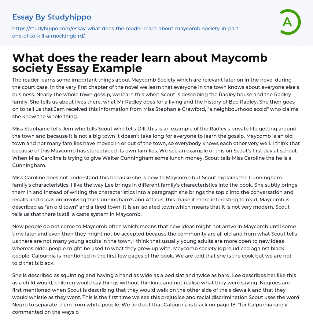 What does the reader learn about Maycomb society Essay Example