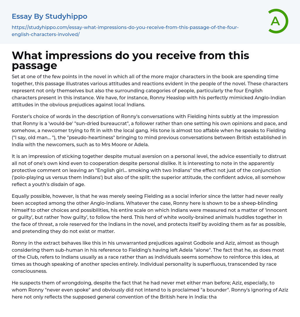 What impressions do you receive from this passage Essay Example