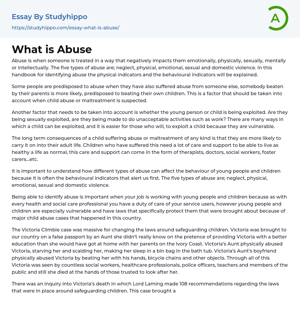 What Is Abuse Essay Example | StudyHippo.com