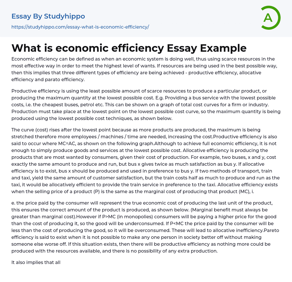 What is economic efficiency Essay Example
