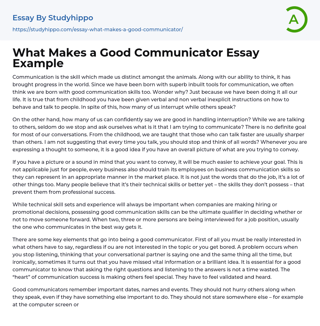 What Makes a Good Communicator Essay Example