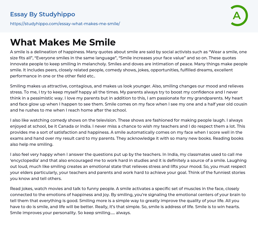 What Makes Me Smile Essay Example