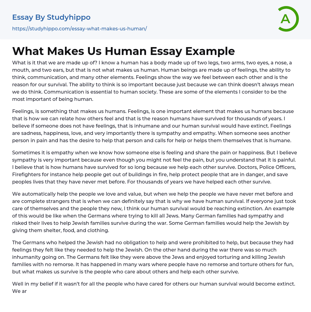 What Makes Us Human Essay Example