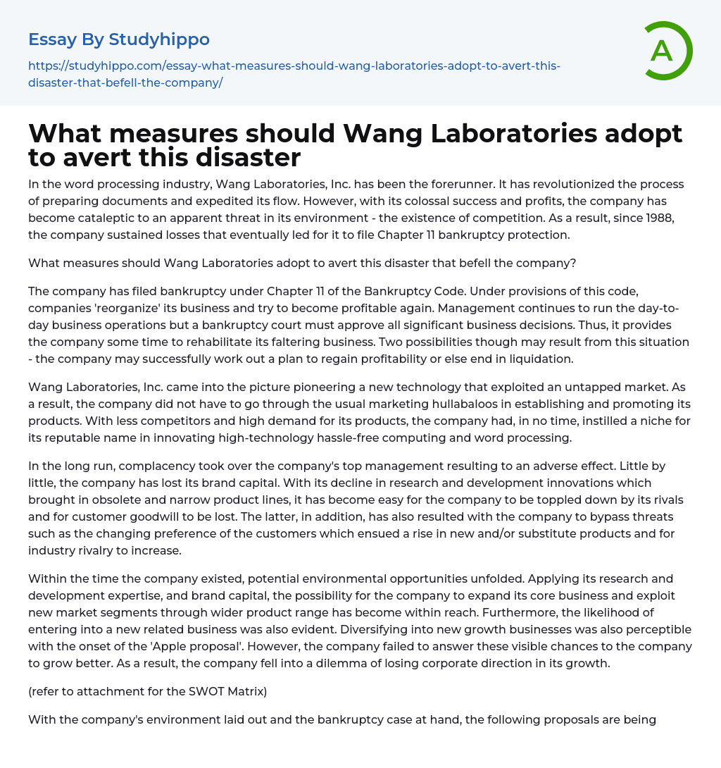 What measures should Wang Laboratories adopt to avert this disaster Essay Example