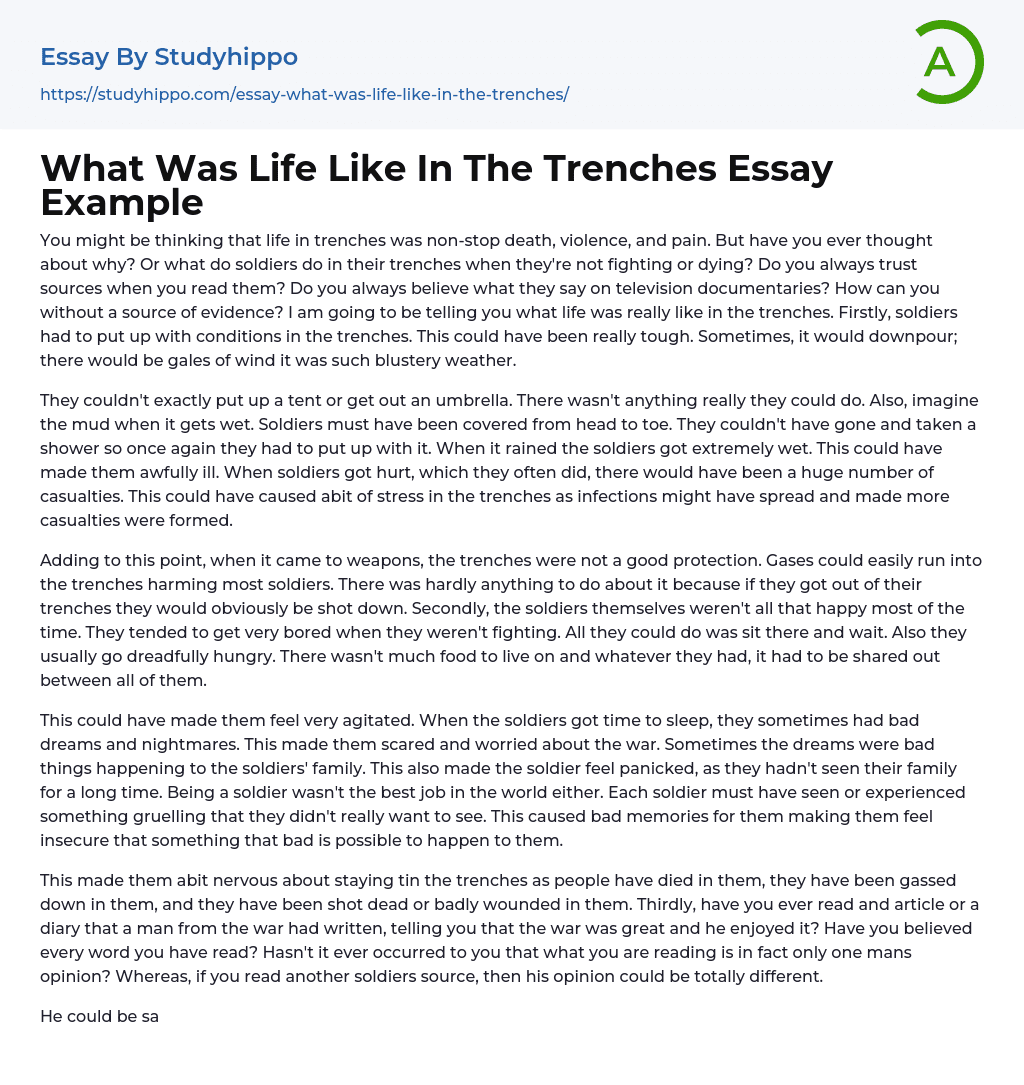 What Was Life Like In The Trenches Essay Example