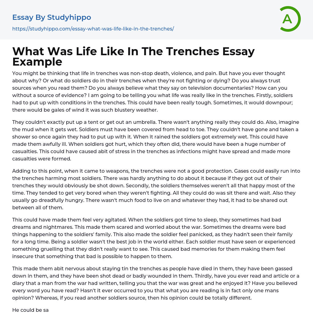 What Was Life Like In The Trenches Essay Example StudyHippo