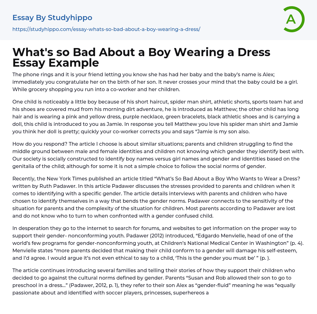 What’s so Bad About a Boy Wearing a Dress Essay Example